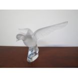 A Lalique large dove figure "Colombe Clita", clear and frosted glass,