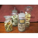 Four jars of vintage pickled and dry snakes