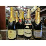 Nine bottles of various Champagnes, Brut and sparkling wines including Moet and Chandon,