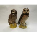 Two Royal Doulton Whyte and MacKay whisky decanters Short-Eared Owl and Tawny Owl (2)