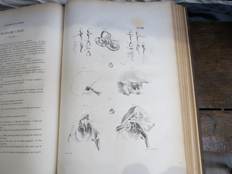 JULES CLOQUET:"Anatomie De L'Homme Ou Description Et Figures", published Paris 1828, - Image 4 of 4