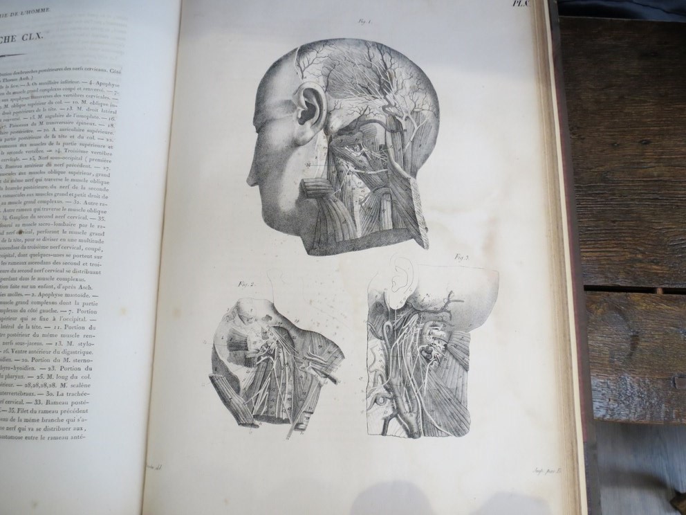 JULES CLOQUET:"Anatomie De L'Homme Ou Description Et Figures", published Paris 1828, - Image 3 of 4