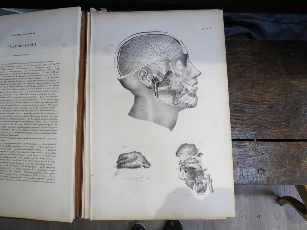 JULES CLOQUET:"Anatomie De L'Homme Ou Description Et Figures Tome Auatrieme", published Paris 1828, - Image 3 of 3