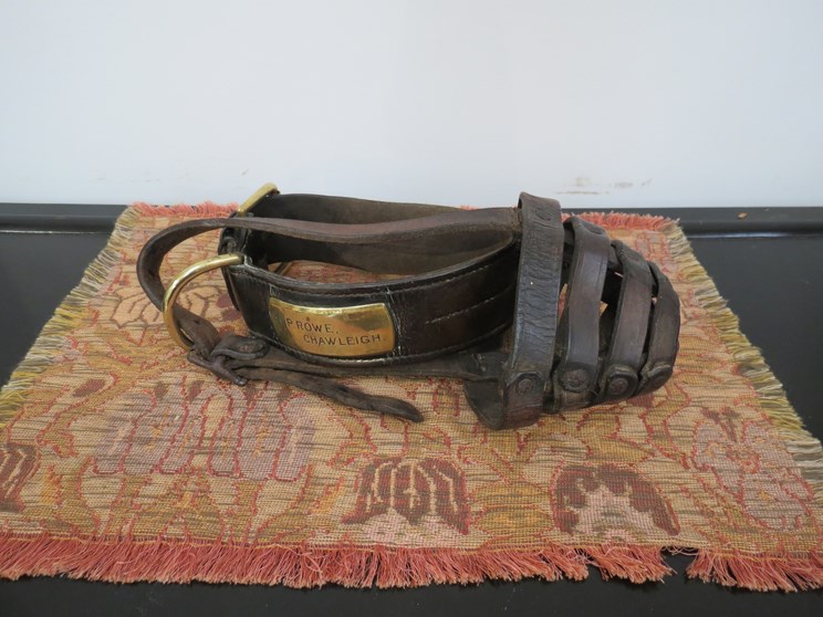 A Victorian leather dog collar and muzzle, the brass tag named H.P.