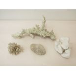 Four pieces of coral including branched example