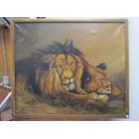 HUGH ROSS (1800-1873) A gilt framed oil on canvas, lion and lioness,