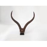 An Artist metal sculpture of pair of antlers, painted bronze effect.