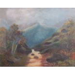 A 19th Century gilt framed oil on canvas, mountainous stream scene. Initialled E.J.S. bottom left.