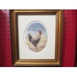 A limited edition Steven Townsend print of a cockerel, pencil signed and dated 263/850,