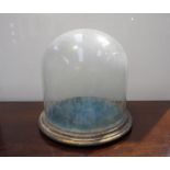 A 19th century glass dome on gilt base,