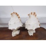 Two shell lamps for rewiring,