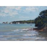 'Old Harry Rocks from Middle Beach' by Colin Willey