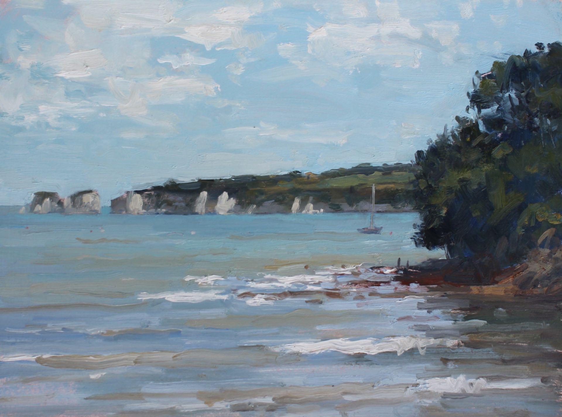 'Old Harry Rocks from Middle Beach' by Colin Willey