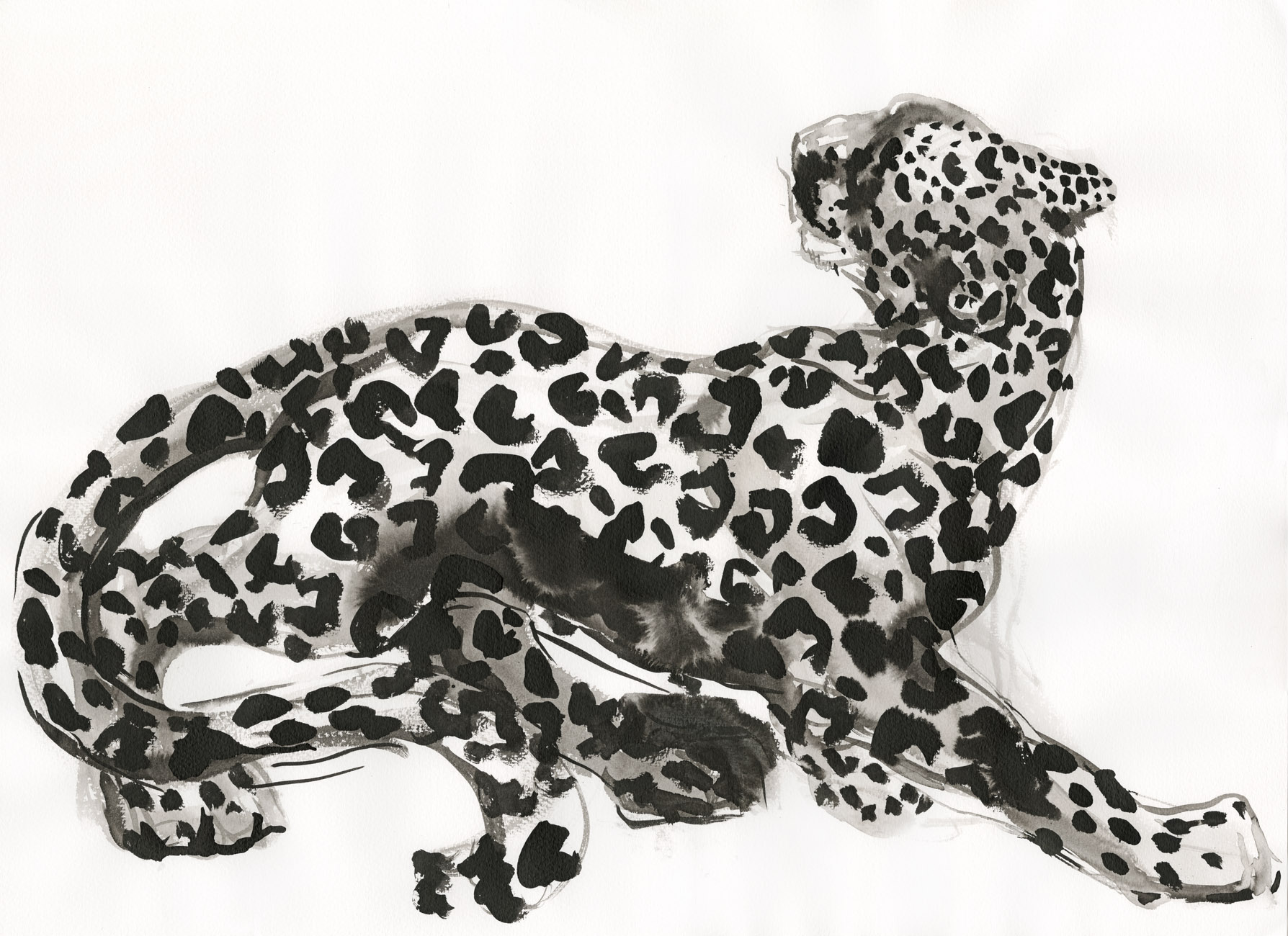 'The Leopard' by Alice Shirley