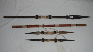 A collection of early 20th century heavy palm wood tribal weapons and blow pipe from South America