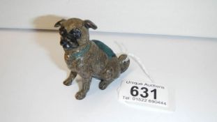 An Austrian cold painted bronze pug dog pin cushion