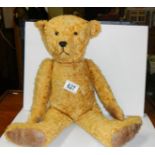 An old mohair Teddy bear