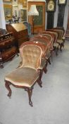 A set of 6 Victorian salon chairs in mahogany with cabriole legs