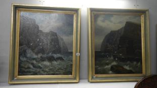 A pair of framed oil on canvas studies of cliffs signed Cedric Gray,