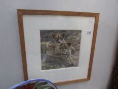 A framed and glazed print of 2 lion cubs