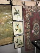 2 framed and glazed Gould & Richter prints Nectorinia Gouldla Urochroa Bougien and a Framed and