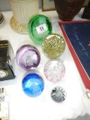 6 glass paperweights