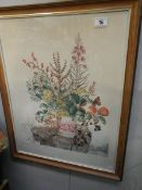 A framed and glazed botanical print