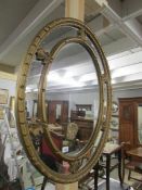 An oval gilt framed Adam style mirror