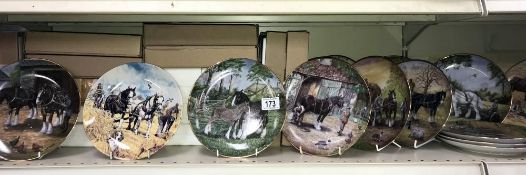 13 Shirehorse related collector's plates