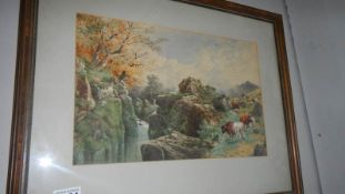 A framed and glazed watercolour rural scene with cattle