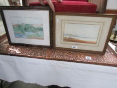 A framed and glazed watercolour signed F Hayden and one other