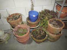 A quantity of garden pots