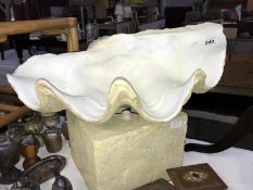 A sea shell water feature