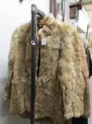 A coney skin fur coat and one other ladies fur coat.