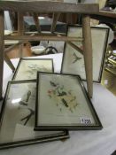 2 framed and glazed Richter flora & fauna prints,