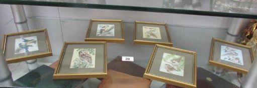 6 framed and glazed Cash's silks of birds