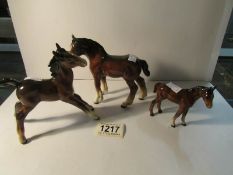 A Beswick horse and 2 foals