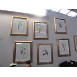 6 framed and glazed limited edition prints,