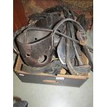 A quantity of antique leather horse tack.