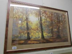 A framed and glazed woodland scene print by David Shepherd.