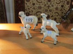 A Beswick sheep and 3 Beswick lambs