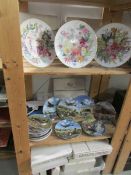 2 shelves of collector's plates with boxes.