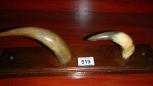 2 horns mounted on wood as coat hooks.