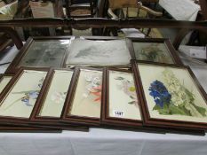 9 framed and glazed botanical prints and a large quantity of unframed botanical prints.