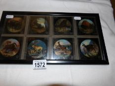 A framed set of 8 magic lantern slides of animals.