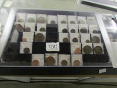 A collector's tray of 19th and 20th century copper coins, George IV, William IV, Victoria etc.