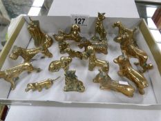 16 brass dog figures.