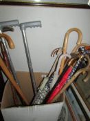 A quantity of walking sticks and canes