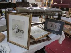 7 framed and glazed Cecil prints of dogs and steeplechase