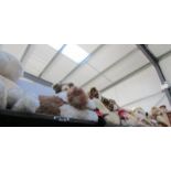 A large quantity of soft toys